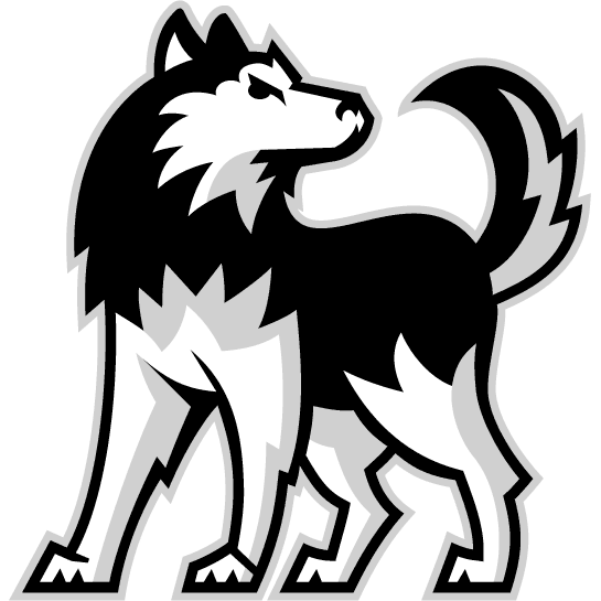Northern Illinois Huskies 2001-Pres Alternate Logo iron on transfers for T-shirts